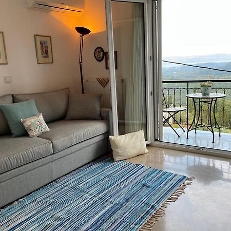 Schoenes Familienappartement In Pelekas, Corfu Mit Meerblick Екстер'єр фото